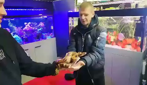 videoplayback (5) S01E1528