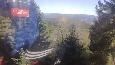 Wracam zgur zobacz to S01E1631