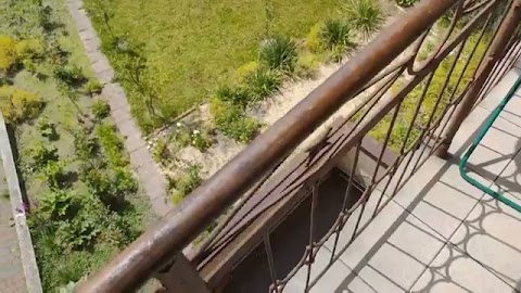 Borze cięło dzci jesst S01E1855