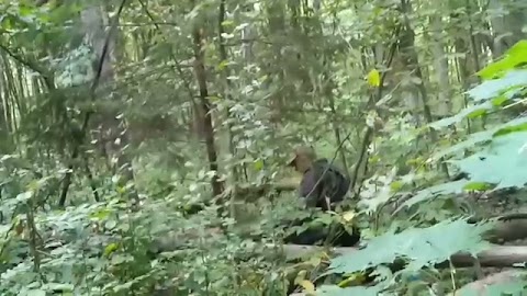 To był mecz S01E268