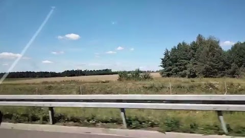 Pokazuje drogę Polskw S01E229