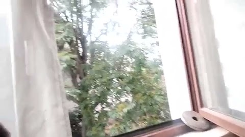 Dzedobry bedze ładna pogoda wysłuchaj tego S01E483