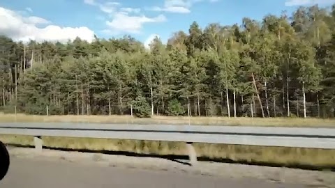 Pokazuje to wam S01E1404