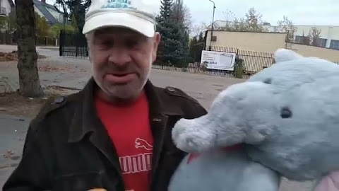 Grzybek na raz S01E51