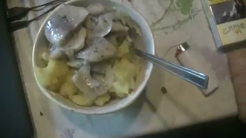 Objat spulny nasz S01E456