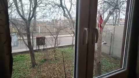 Nagrwam wam to S01E948