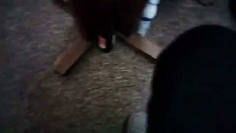 Kupjlem wkrwacz metalu S01E1623