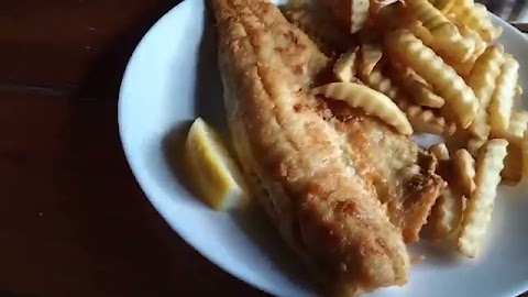 to jest pysznay sandacz Bozit super S01E234