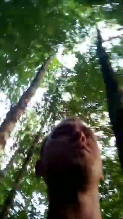 Motylem jestem S01E313