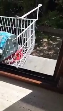 Nagrwam wam oglodajcie mnie S01E1642