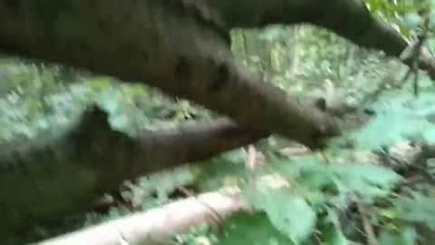 Przed meczem S01E261