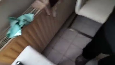 To moje sidanje S01E158