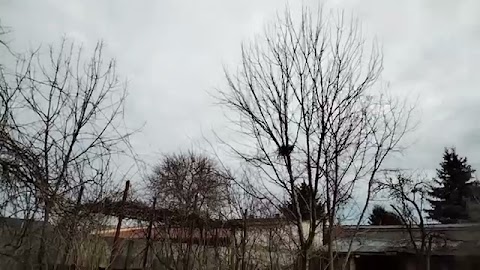 Wszedłem nadwor zobaczcie jaką pogoda S01E632