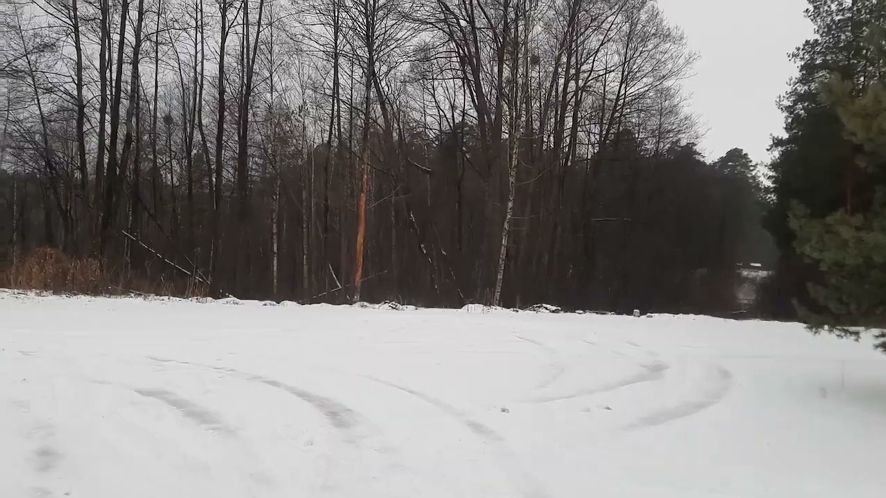 Afera końska i moja opinia na ten temat. S01E608