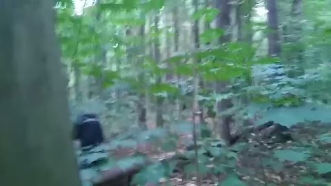 Krótki film przed wywiadem z grzybiarzem S01E235