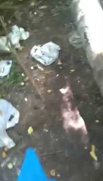 Jestem u księgowej S01E231