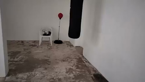 Pokarze wam to moje rękawiczki i sportowe S01E194