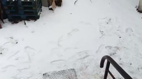 Pokazuje wam to S01E92