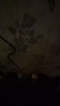 dałem 100 złoty S01E381