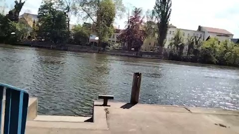 Pokazuje wam to S01E1609