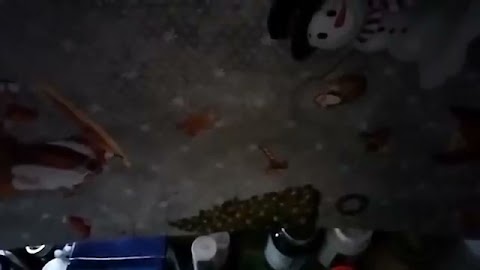 Odkurzalem teras jem bjgos S01E1137