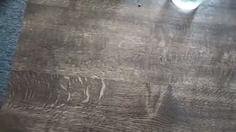 Witajcie powjem wam to S01E142