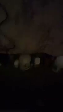 pokazuje widzom prawde a nie walsz S01E21