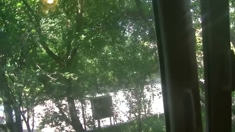 POKAZUJE MOJE ŚNIEDANIE S01E495