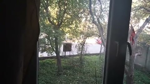 Wjtajcje mamy Niedzielę słoneczna S01E745