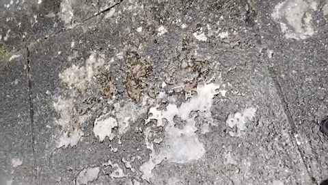 Pojechaliśmy na cmetasz S01E233