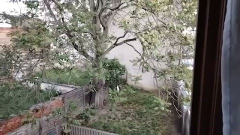 Chcem wpowjedzesi się nato S01E682