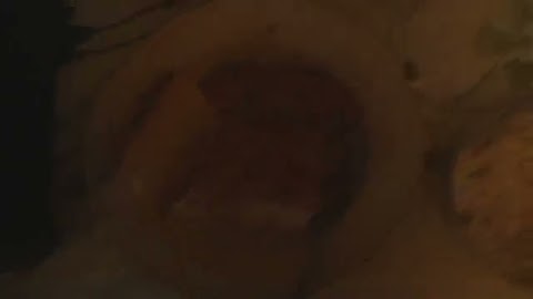 Pokarze śniedanie moje dziś S01E132