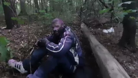 Grecki motyl uchwycony  w białostockim  lesie S01E332