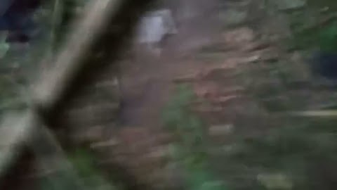 Major wraca do domu S01E243