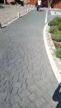 Pokazuje wam Palac S01E242