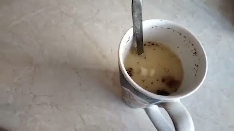 Ziurek pije na kaca S01E451