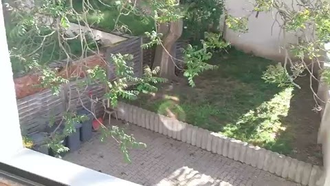 Pokarze wam S01E1160