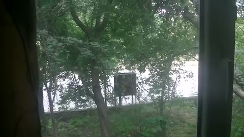 wlaczki zrana jak śmietana S01E487