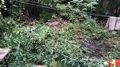 Porządki jesienne robimy i paszka dostałem śmiecie S01E794