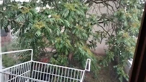 Pokarze wam pogodę ru S01E1408