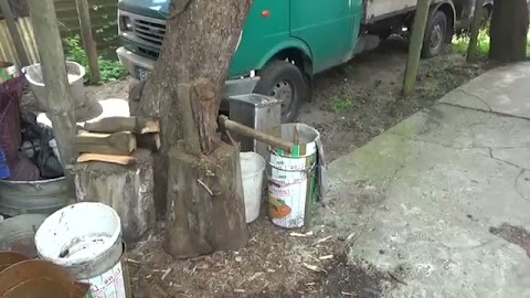 Robje drzewo zobacz S01E426