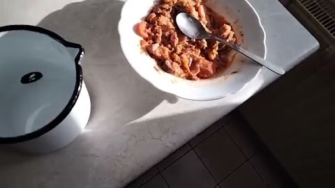 Bigos zrana jak simietana S01E816