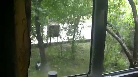 Pokazałem kotek przszed domnie S01E1593