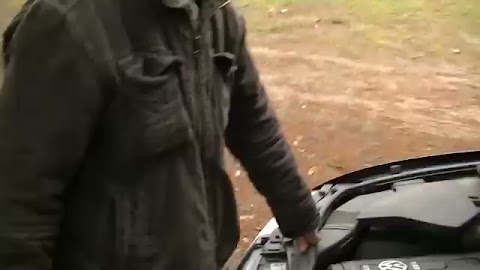 Obsługa auta i las S01E151