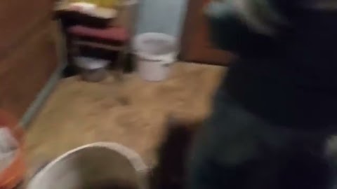 Zimny pokój S01E104