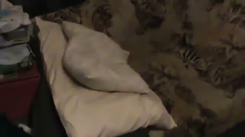 pokarze wam prawde S01E1364