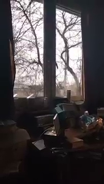 Wypowiem się na tym tembr wsluchaj S01E494