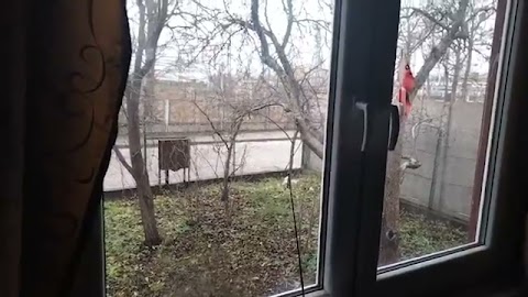 Właśnie kawę pjje z ciastem pszne to jest S01E426