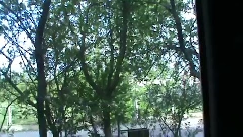 Dzedobry przywitałem niedzele S01E1146